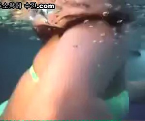 수간야동 : 섹시한 돌고래 강남 스타일